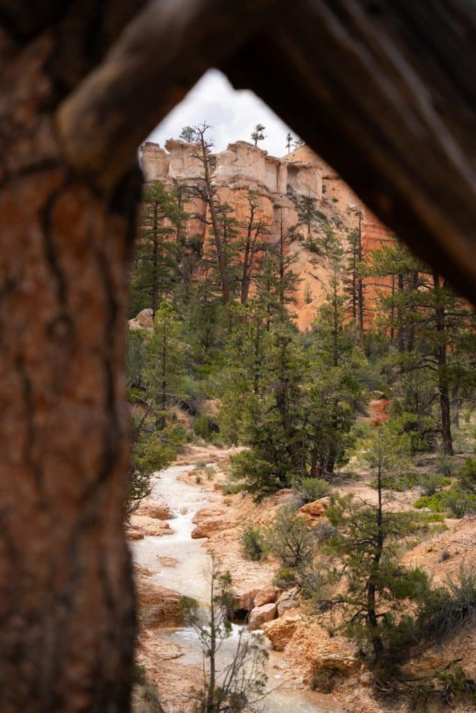 a view of a mountain through a hole in a tree